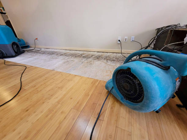 Professional Emergency Water Damage technician working in Brighton, MI